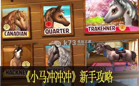 小马冲冲冲新手攻略:游戏中隐藏要素解密