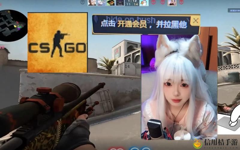 CSGO暴躁阿姨高清大片1,网友感叹:游戏的魅力与情感的交织