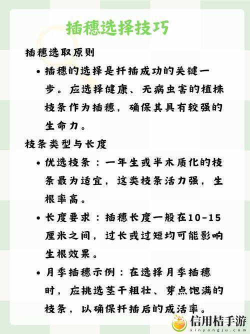 如何在床上进行72种扦插操作
