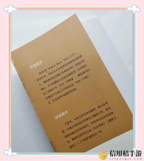 在大地资源二中文在线观看最新动态,用户热议:网络视频共享带来的机遇与挑战
