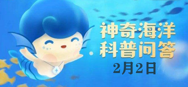 “沙丁鱼”之所以叫这个名字,是因为