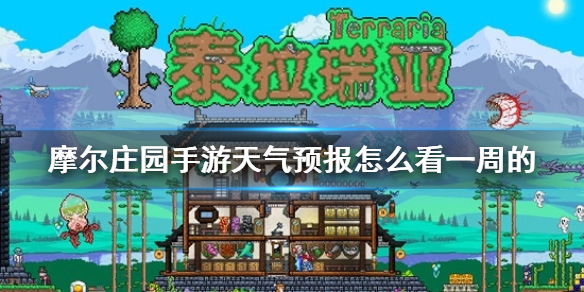 摩尔庄园手游天气预报怎么看一周的 天气预报查看介绍