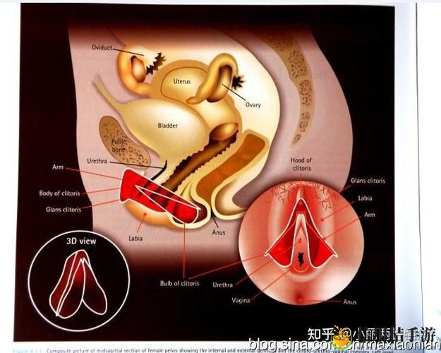 第一次处破女18分钟好痛更新了,平台:情感与身体的交织