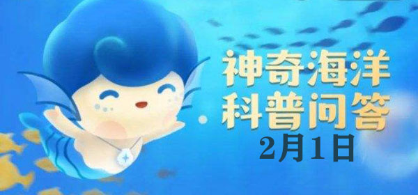 猜一猜:以下哪种海洋动物的哺乳期更短