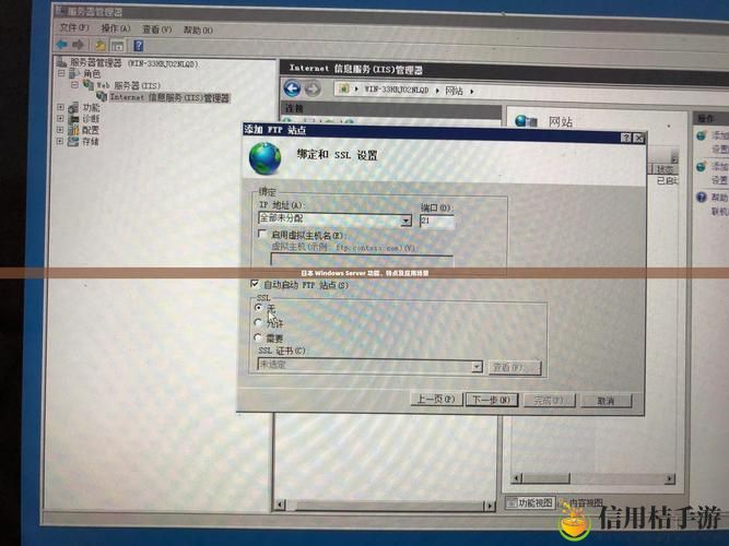 日本windowsserver