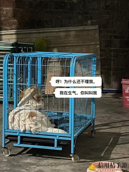 老牛嫩草与精二的区别火爆上线,平台:探索人际关系的新视角