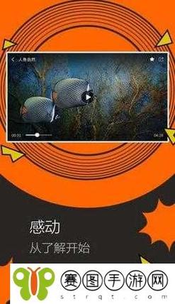 鱿鱼B25777直接进入