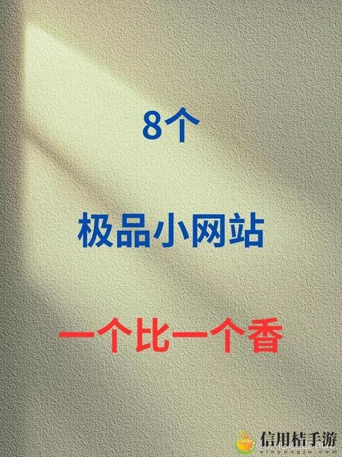 成品网站1.1.719,网友感叹:功能强大,使用体验优越