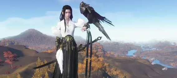 逆水寒手游水里嘎嘎鸭怎么使用 游戏资源优化方法