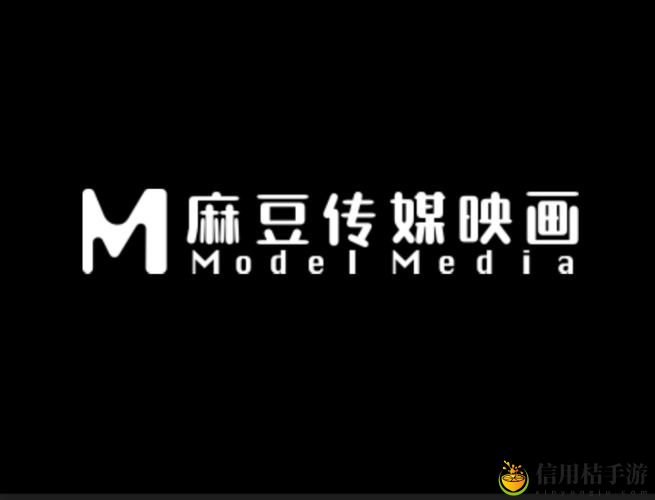 麻花传媒有限责任公司