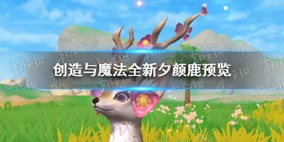 创造与魔法全新夕颜鹿怎么样 全新夕颜鹿预览
