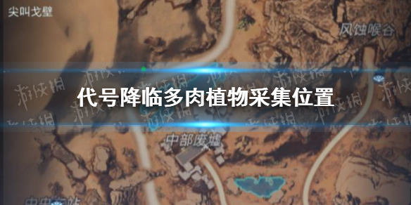 代号降临多肉植物采集位置在哪 多肉植物采集位置