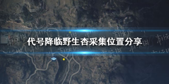 代号降临野生杏采集位置怎么样 野生杏采集位置分享