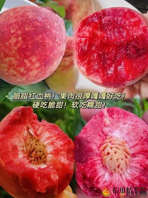 17.c-起草红桃国际的背景和历史背景介稳居榜首,网友:红桃国际何以成为行业领航者?