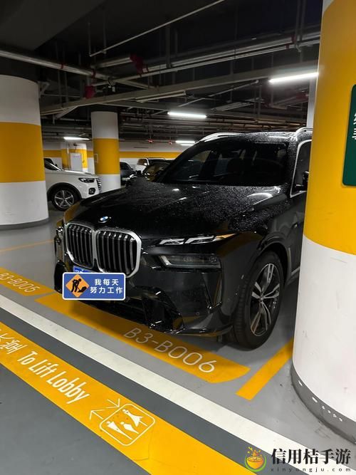 国产与进口X7X7X7槽稳居榜首,网友:这个选择真不错!