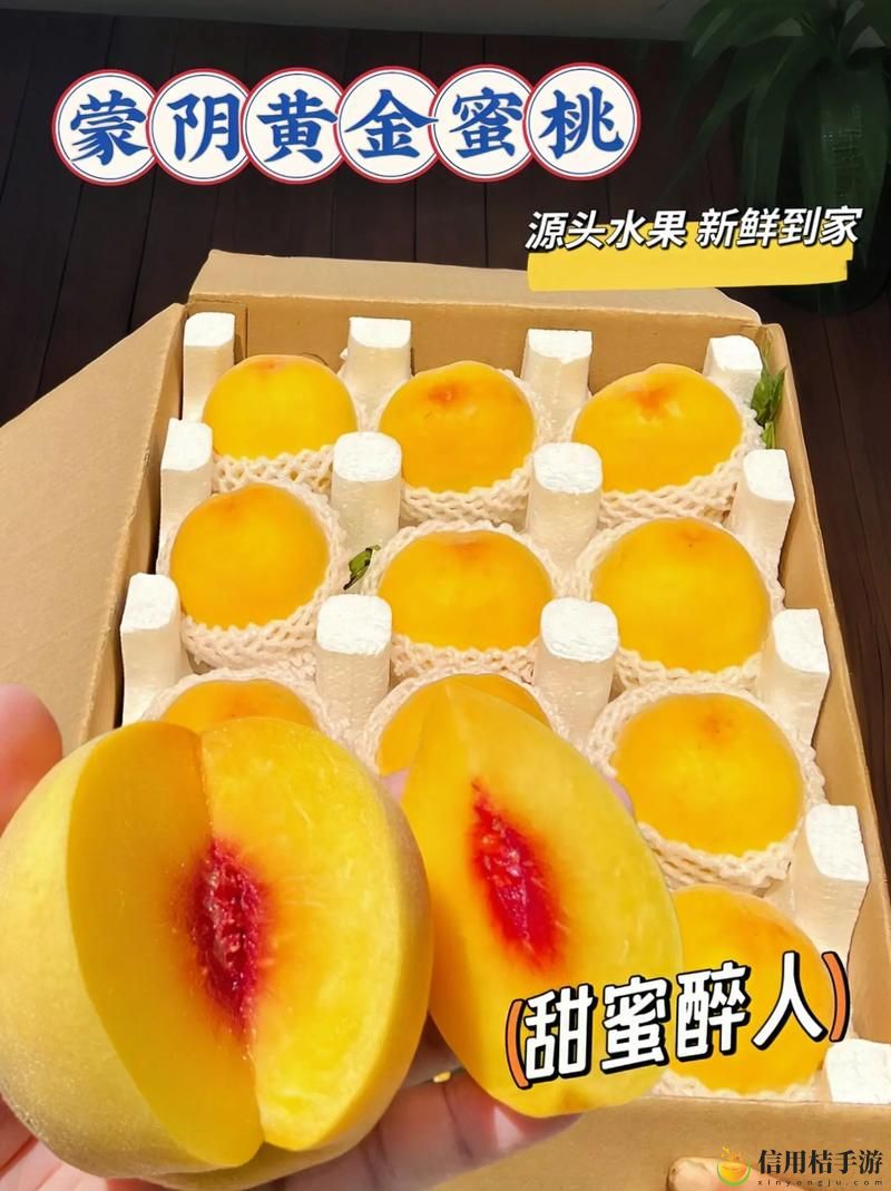 在“蜜桃国精产品二三三区”中,如何选购最具性价比的产品?