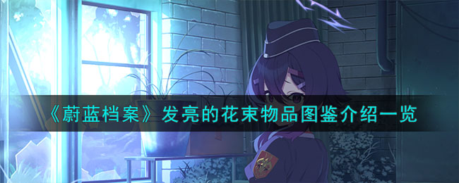蔚蓝档案发亮的花束物品图鉴介绍一览