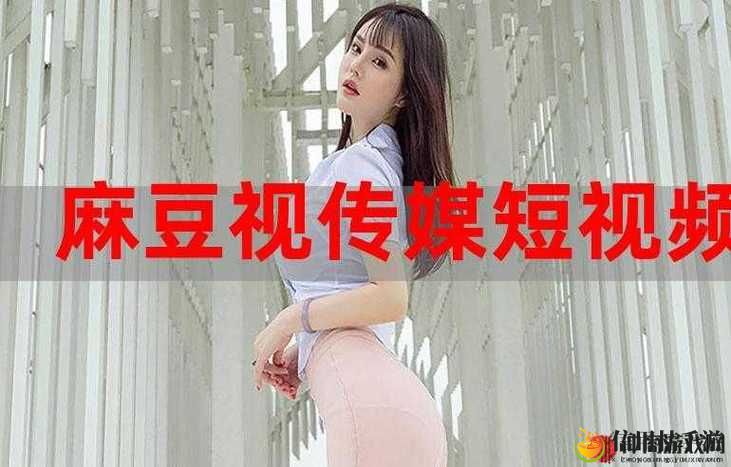 麻花豆传媒剧国产MV的发展前景