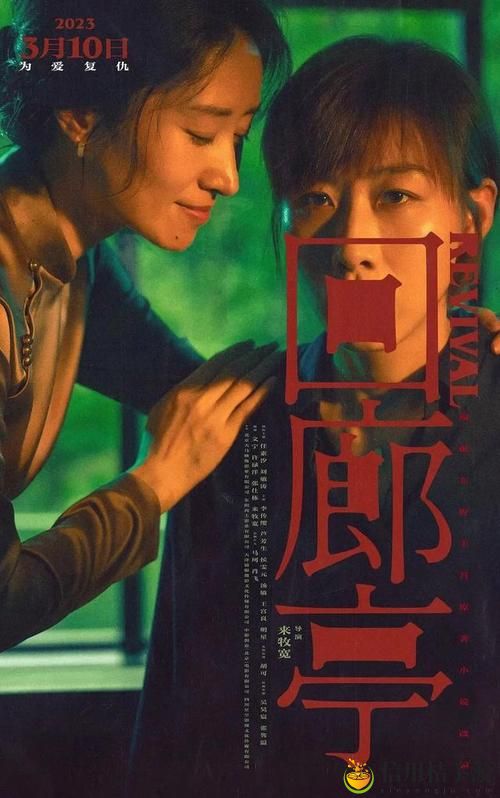 三年大片高清影视大全揭秘,网友:这真是我的观影福音!