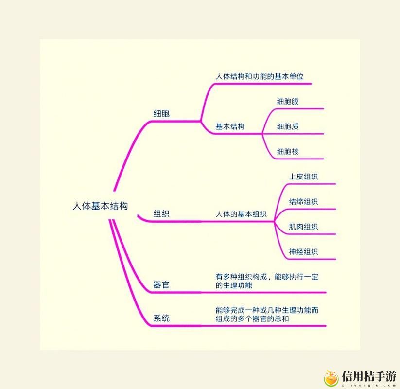 如何理解“成品人与精品人的思维导图”:二者思维模式的根本区别是什么?