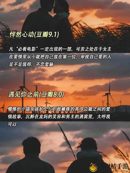 适合夫妻二人看的小众影视剧,哪些作品能让你们的感情更升温?