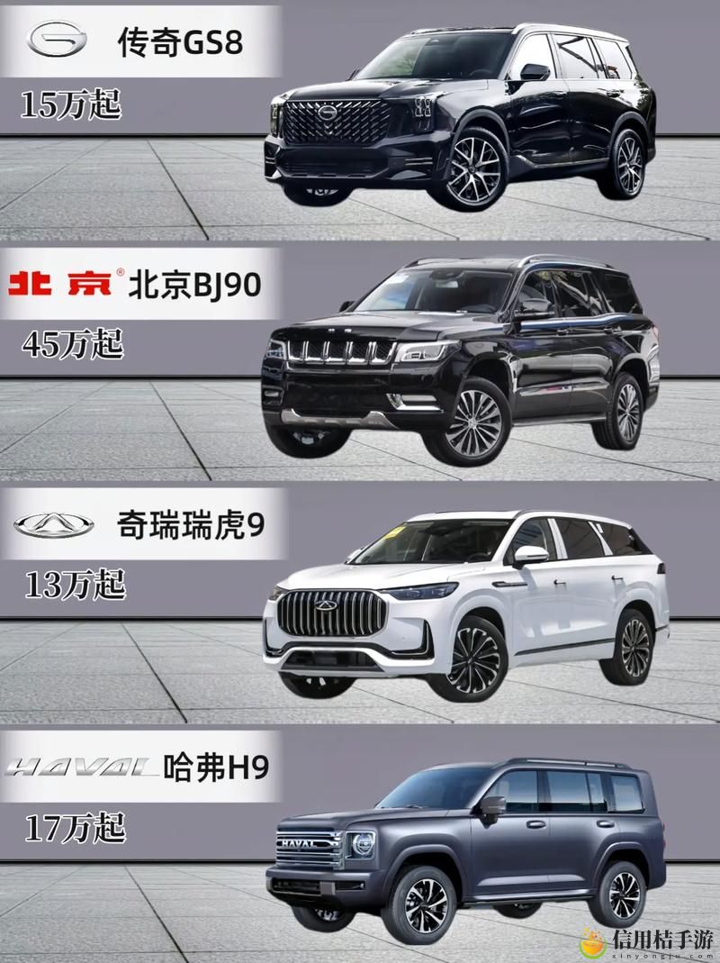 国产SUV精品一区二区6,网友分享:不可错过的选择
