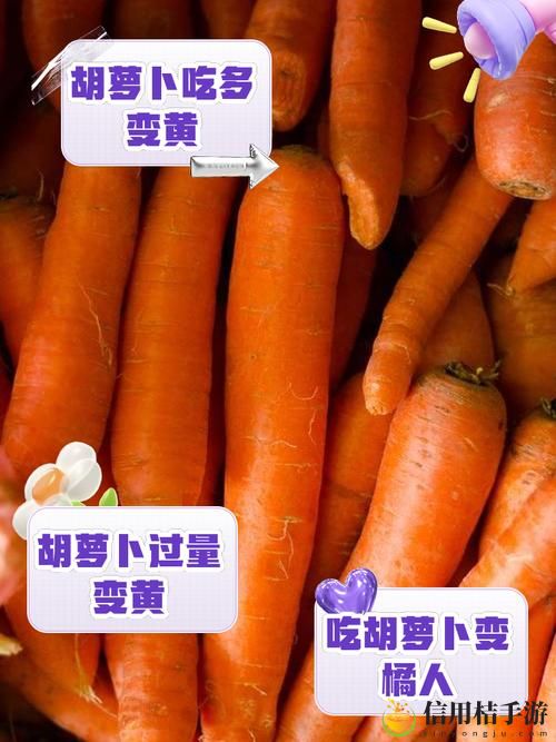 揭秘女的用胡萝卜用大头还是小头,哪种方式更具创意与乐趣?