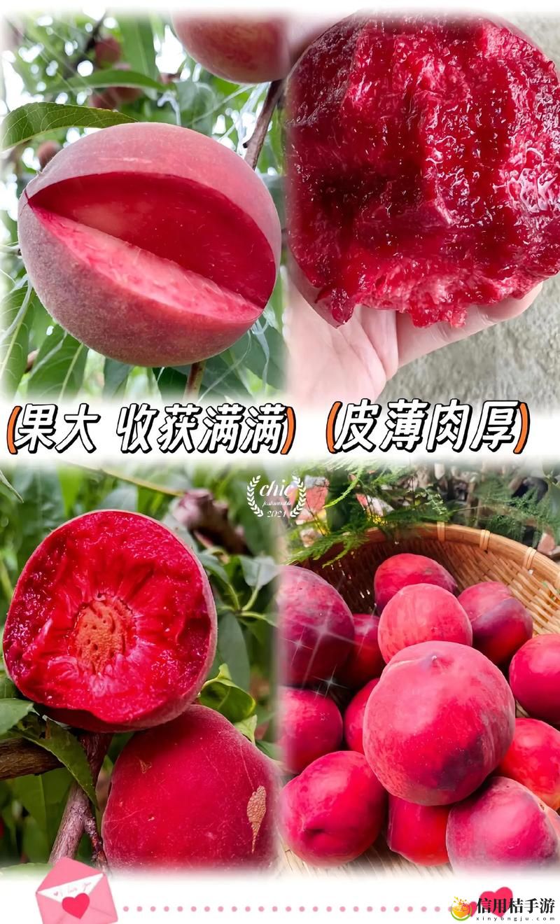 无人区一区二区区别是什么红桃