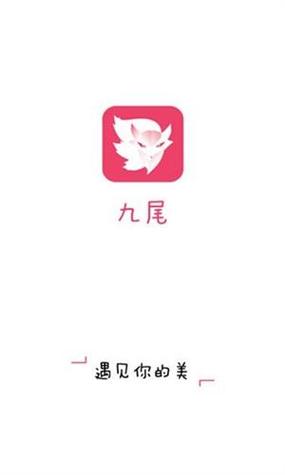 在趋于数字化的时代,pr九天狐狸如何突破传统界限,实现品牌创新?