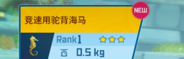 潜水员戴夫海马在哪抓 海马捕捉方法攻略