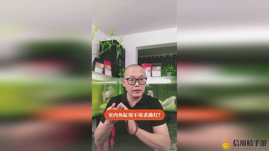 400多个成品视频