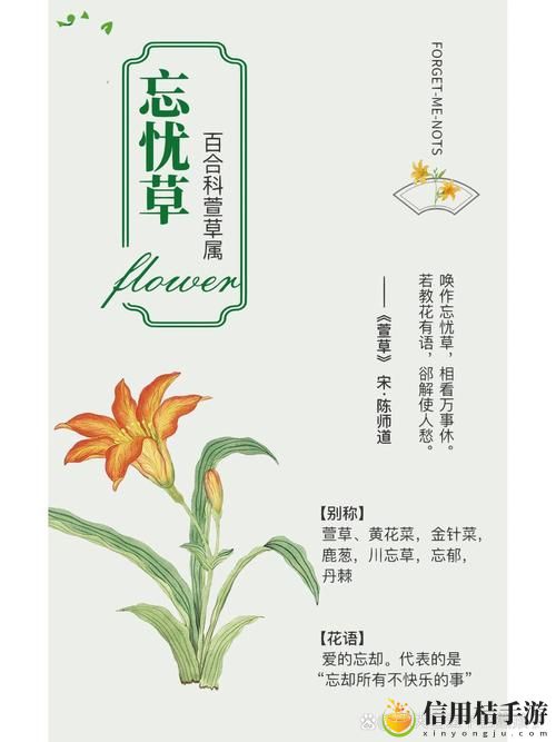 在无人区乱码一线二线忘忧草中,我们是否能找到心灵的归属与自我救赎?