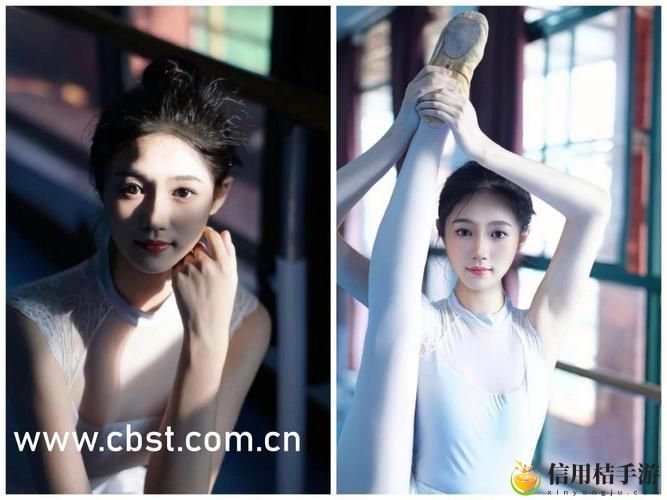 星空传媒天美传媒有限公司:能否在日益激烈的市场竞争中独树一帜?
