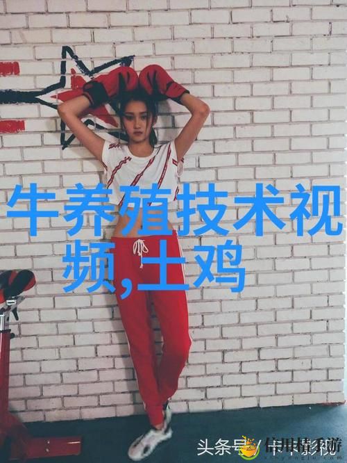 东南亚少女rapperdiss:这一风潮背后隐藏着怎样的青春叛逆与文化碰撞?