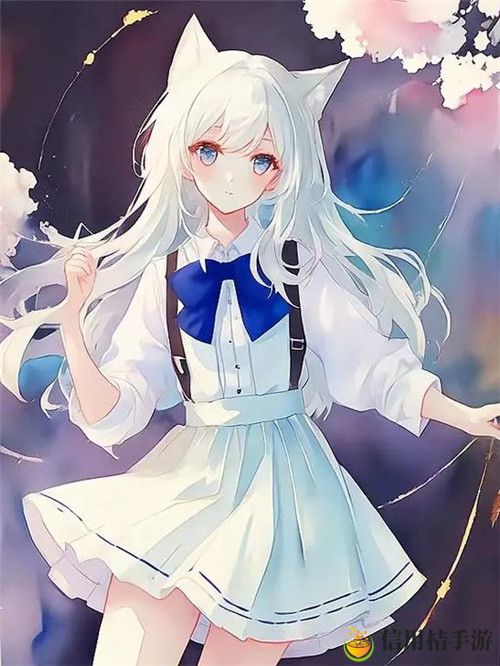 欧美VPS与Windows性能比较:虚拟服务器选择的关键考量