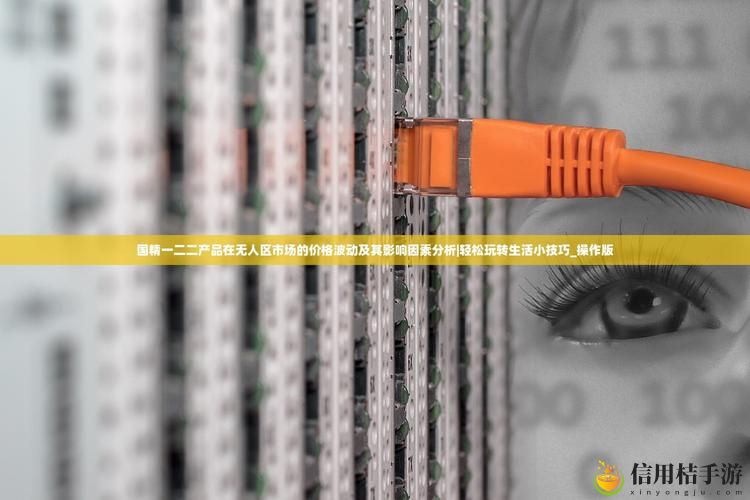 如何理解“国精一二二产品无人区价格”的形成与市场趋势?