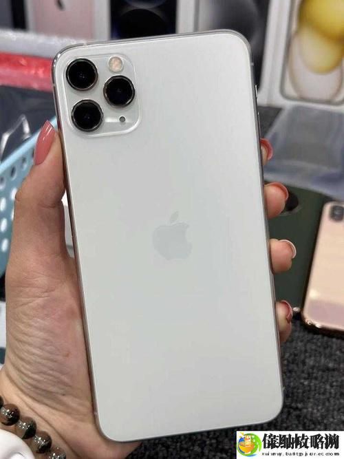 日本iphonepromax