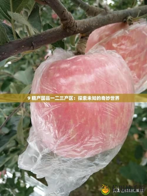 9精产国品一二三产区