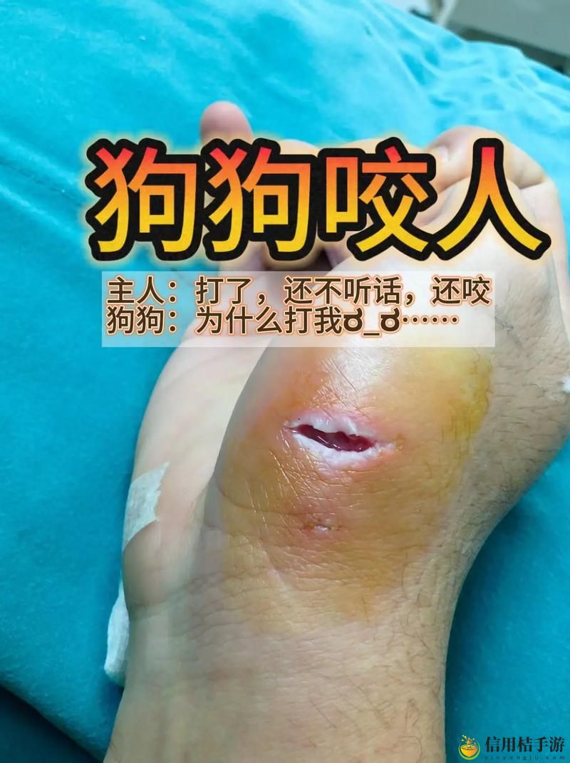 狗狗和人咬配方大全视频