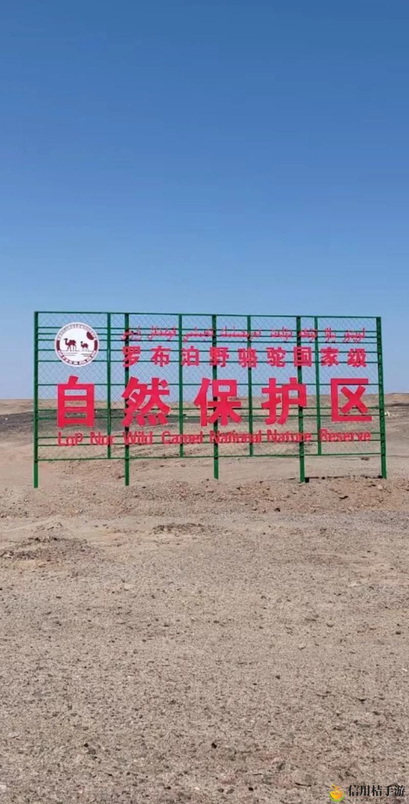 无人区一区二区区别是什么红桃?探秘无人区的特殊魅力与独特体验