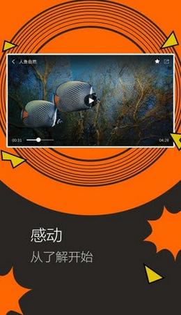 鱿鱼B25777直接进入,用户热议:奇幻之旅的开启
