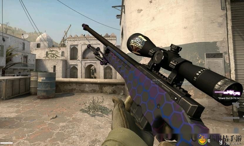 日本CSGO大姐姐AWP