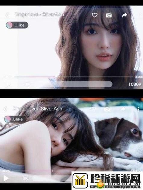 日本mv与欧美mv的区别