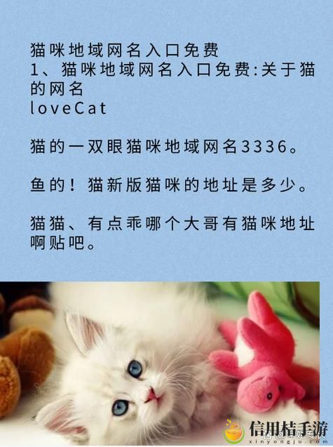 关于“成人猫咪最新地域网名是什么啥”的探讨与背后隐含的文化