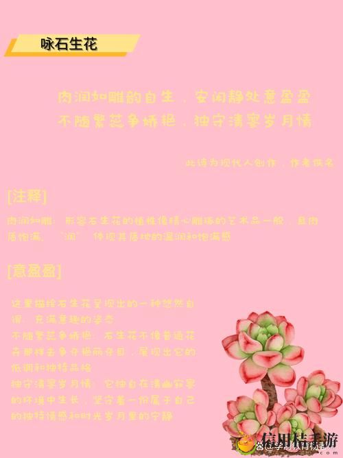 古文多肉1对N:为何多肉植物能串联古文魅力与现代生活的美好?