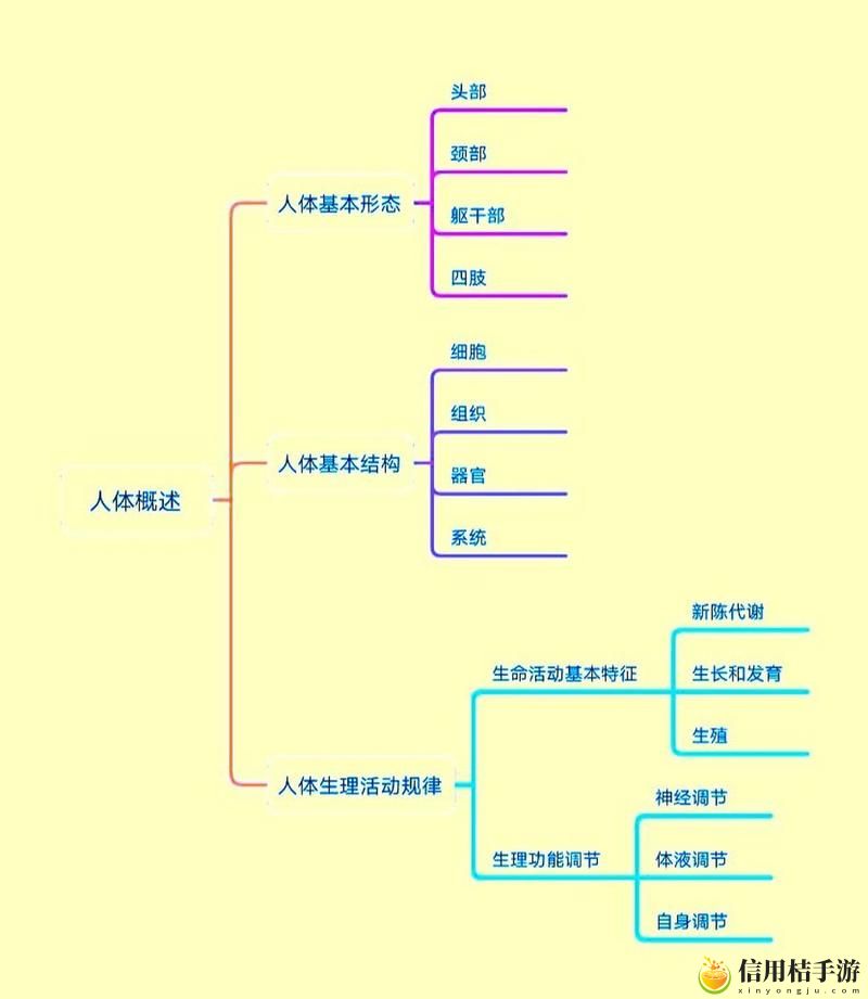 如何构建“成品人与精品人的思维导图”,以提升思维深度和创造力?